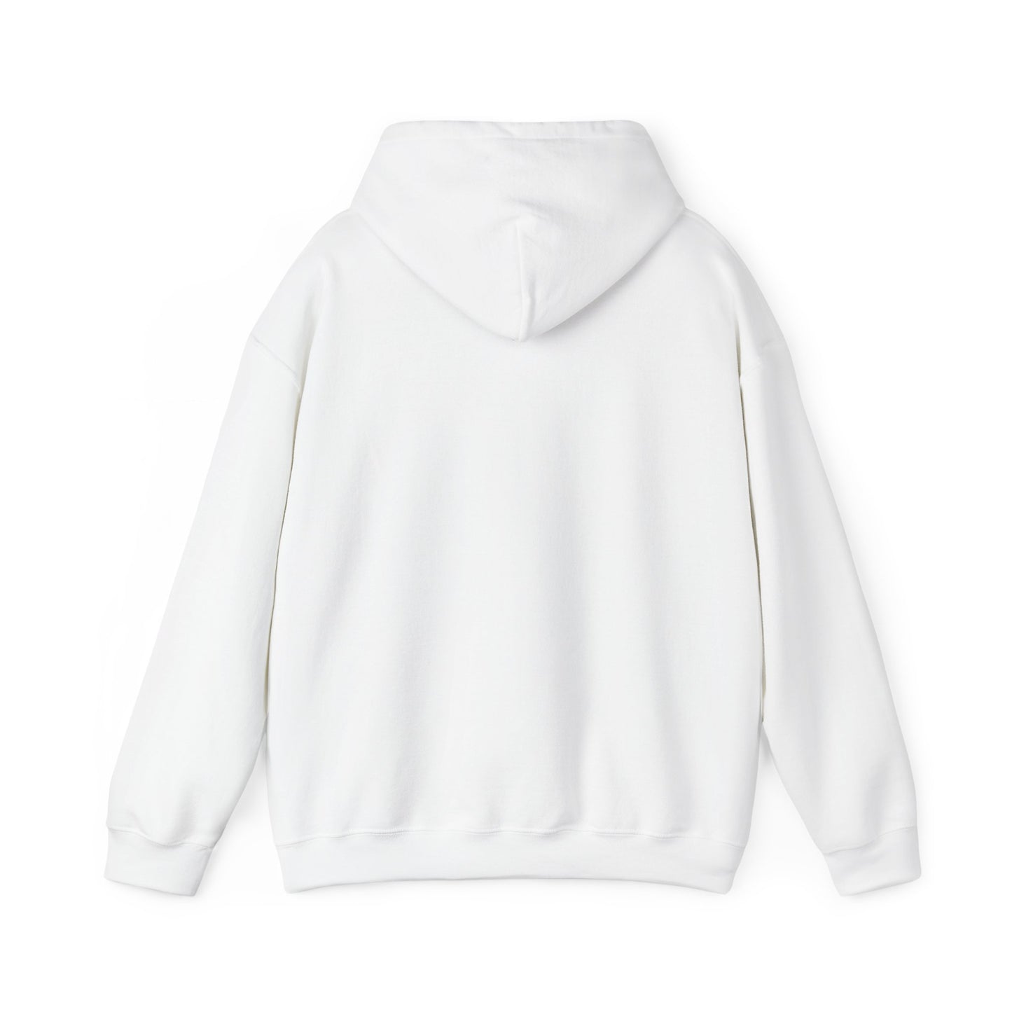One Day or Day One Motivational Hoodie | Inspirational Unisex Pullover Sweatshirt | Gildan 18500