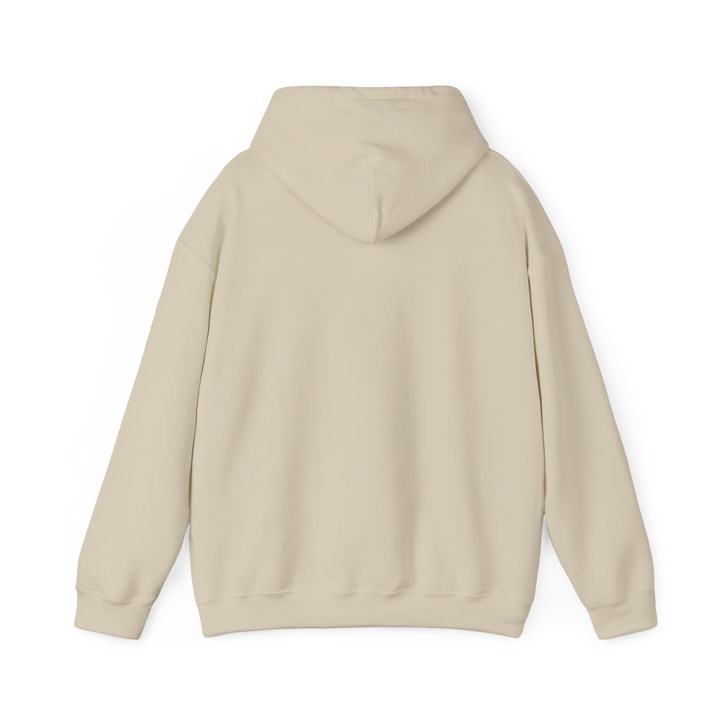 One Day or Day One Motivational Hoodie | Inspirational Unisex Pullover Sweatshirt | Gildan 18500