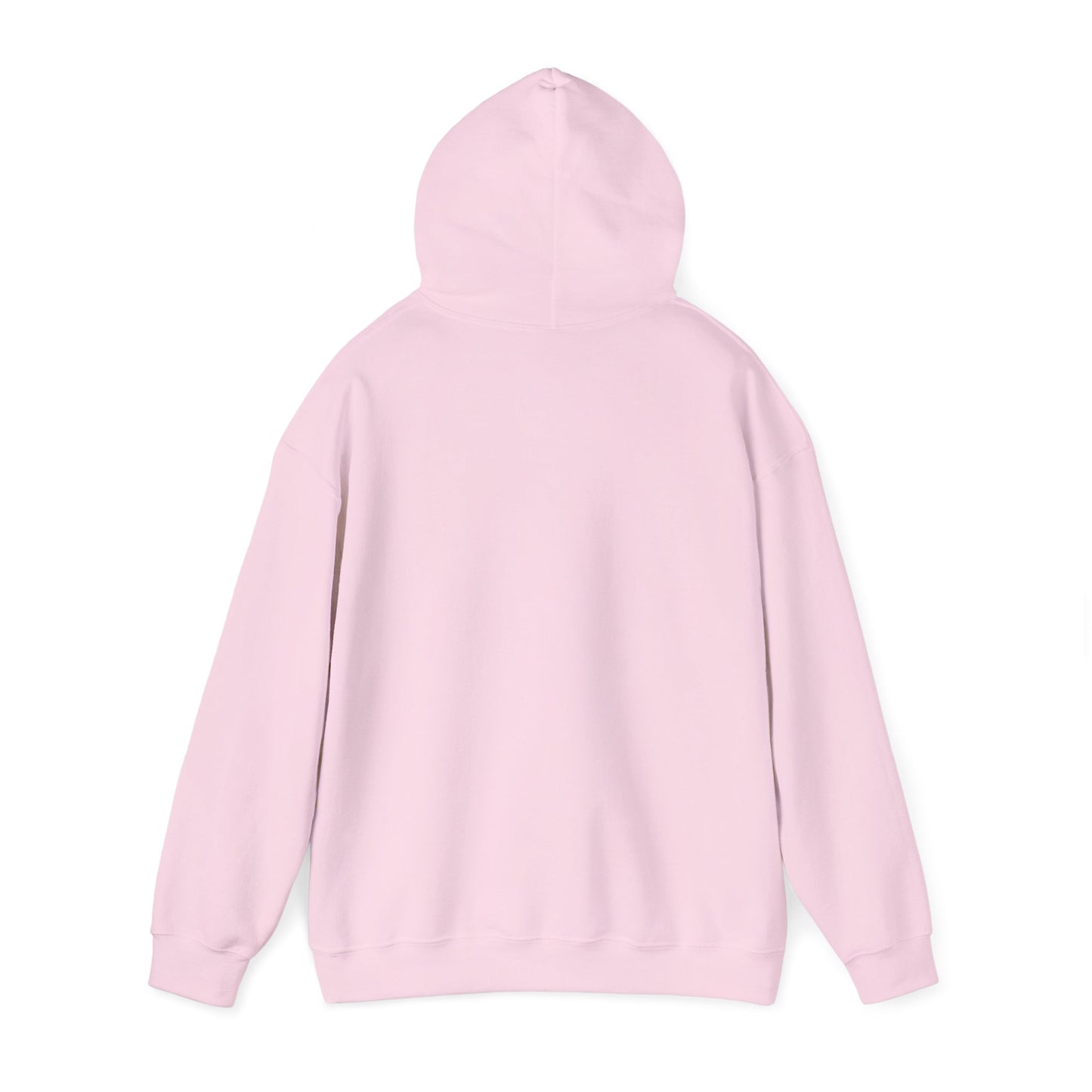 One Day or Day One Motivational Hoodie | Inspirational Unisex Pullover Sweatshirt | Gildan 18500