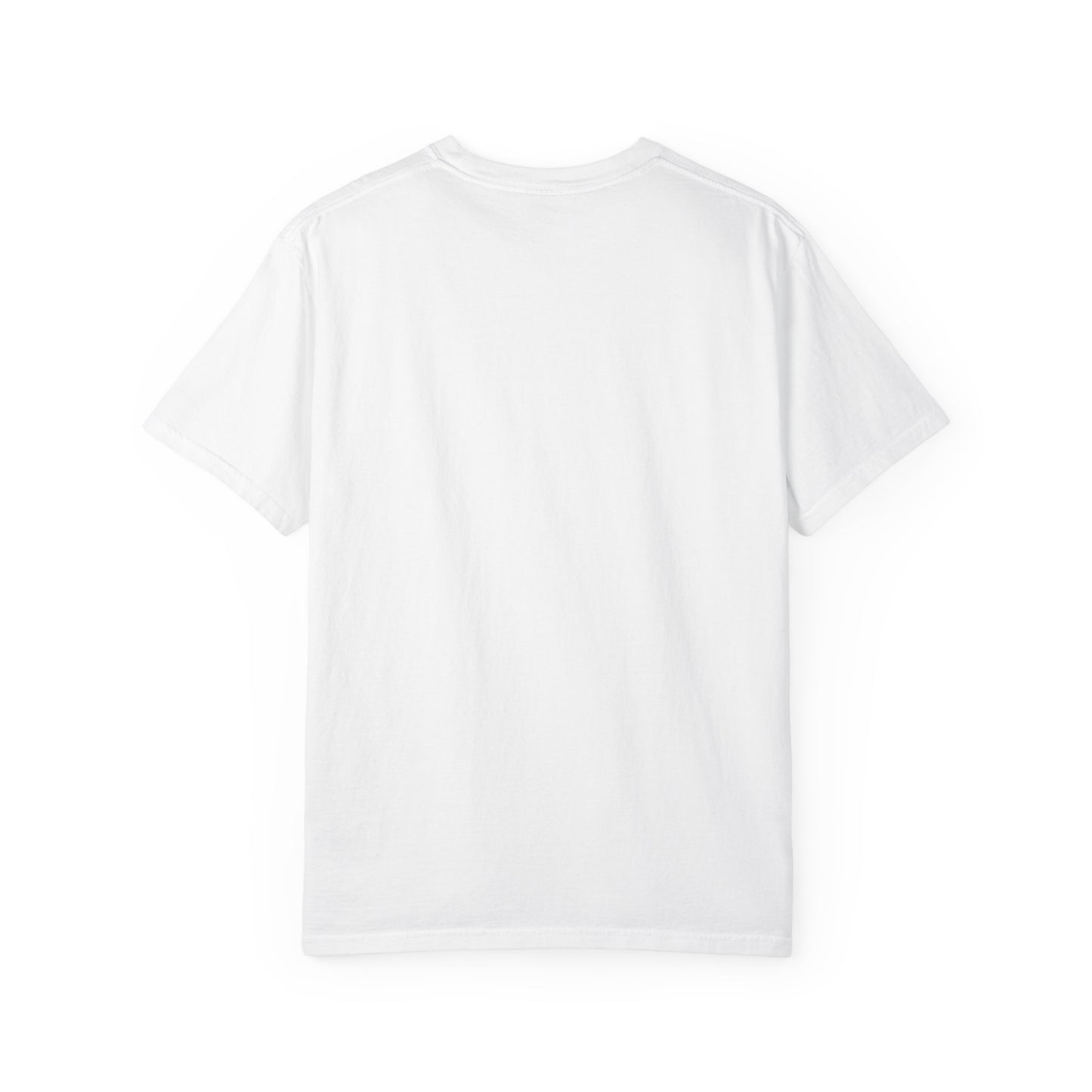 One Day or Day One Comfort Colors® T-Shirt | Motivational Graphic Tee | Inspirational Shirt | Unisex Premium Cotton Tee