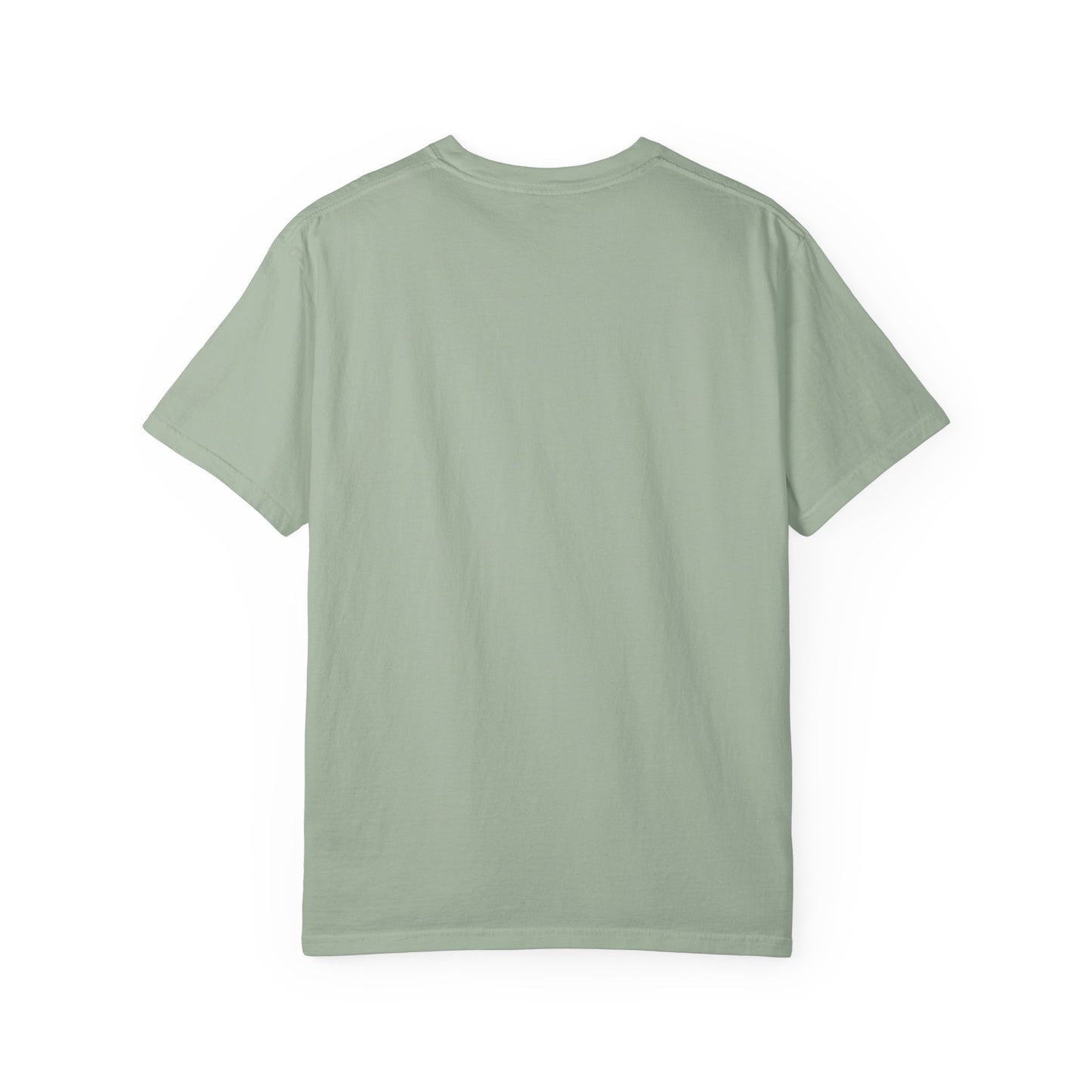 One Day or Day One Comfort Colors® T-Shirt | Motivational Graphic Tee | Inspirational Shirt | Unisex Premium Cotton Tee