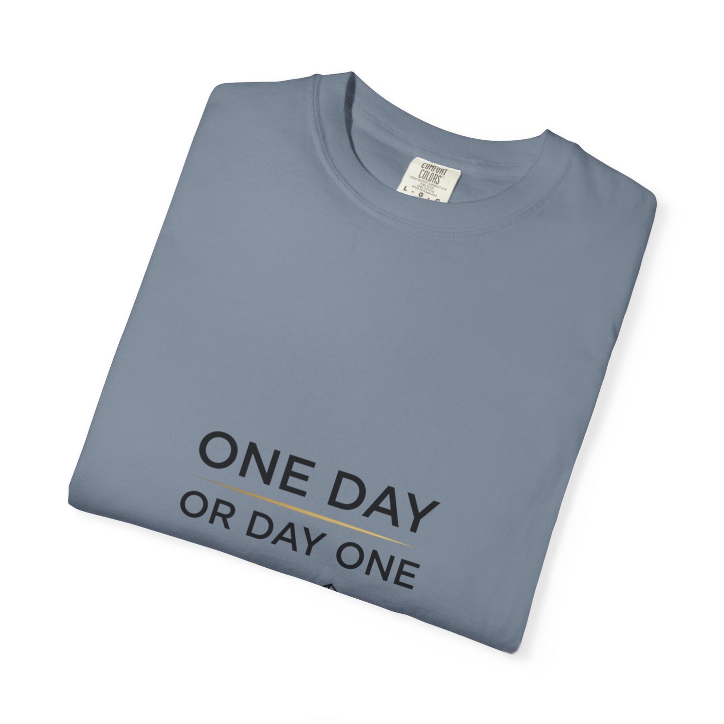 One Day or Day One Comfort Colors® T-Shirt | Motivational Graphic Tee | Inspirational Shirt | Unisex Premium Cotton Tee
