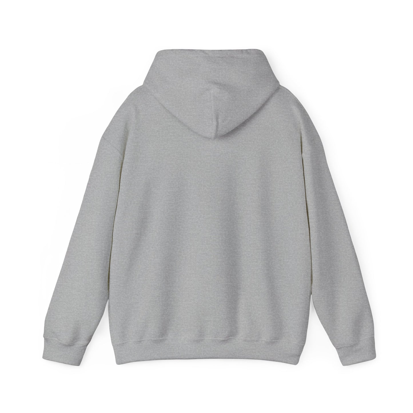 One Day or Day One Motivational Hoodie | Inspirational Unisex Pullover Sweatshirt | Gildan 18500