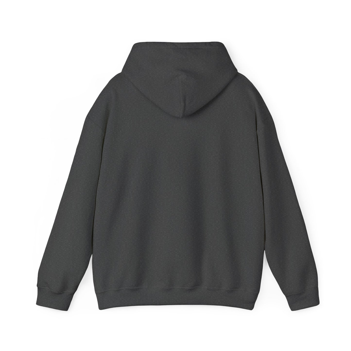 One Day or Day One Motivational Hoodie | Inspirational Unisex Pullover Sweatshirt | Gildan 18500