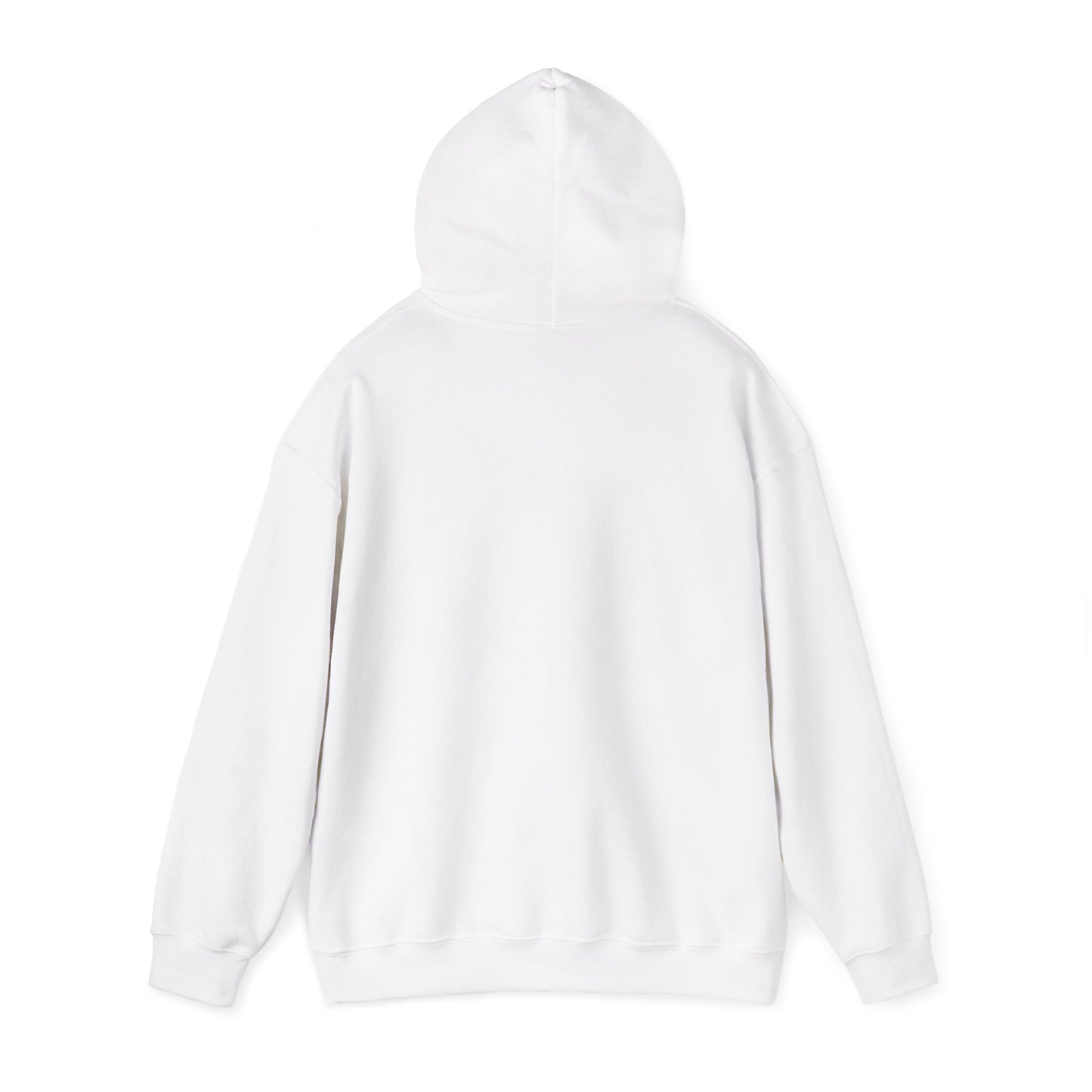 One Day or Day One Motivational Hoodie | Inspirational Unisex Pullover Sweatshirt | Gildan 18500
