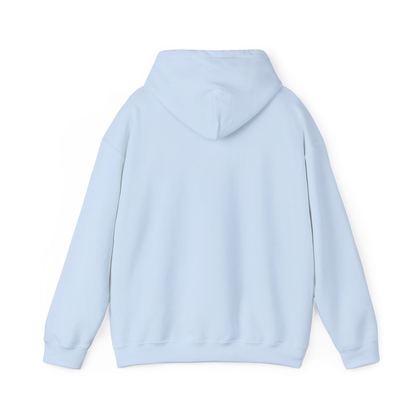 One Day or Day One Motivational Hoodie | Inspirational Unisex Pullover Sweatshirt | Gildan 18500