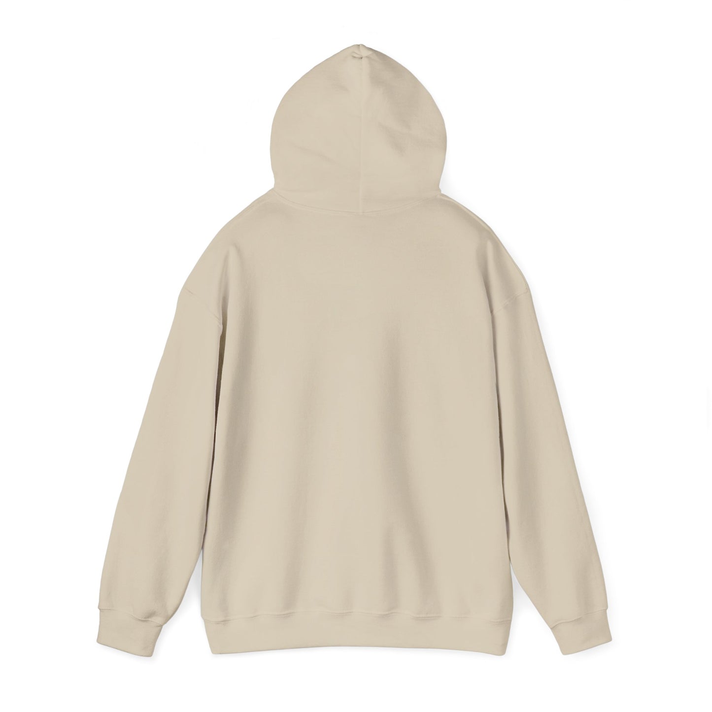 One Day or Day One Motivational Hoodie | Inspirational Unisex Pullover Sweatshirt | Gildan 18500