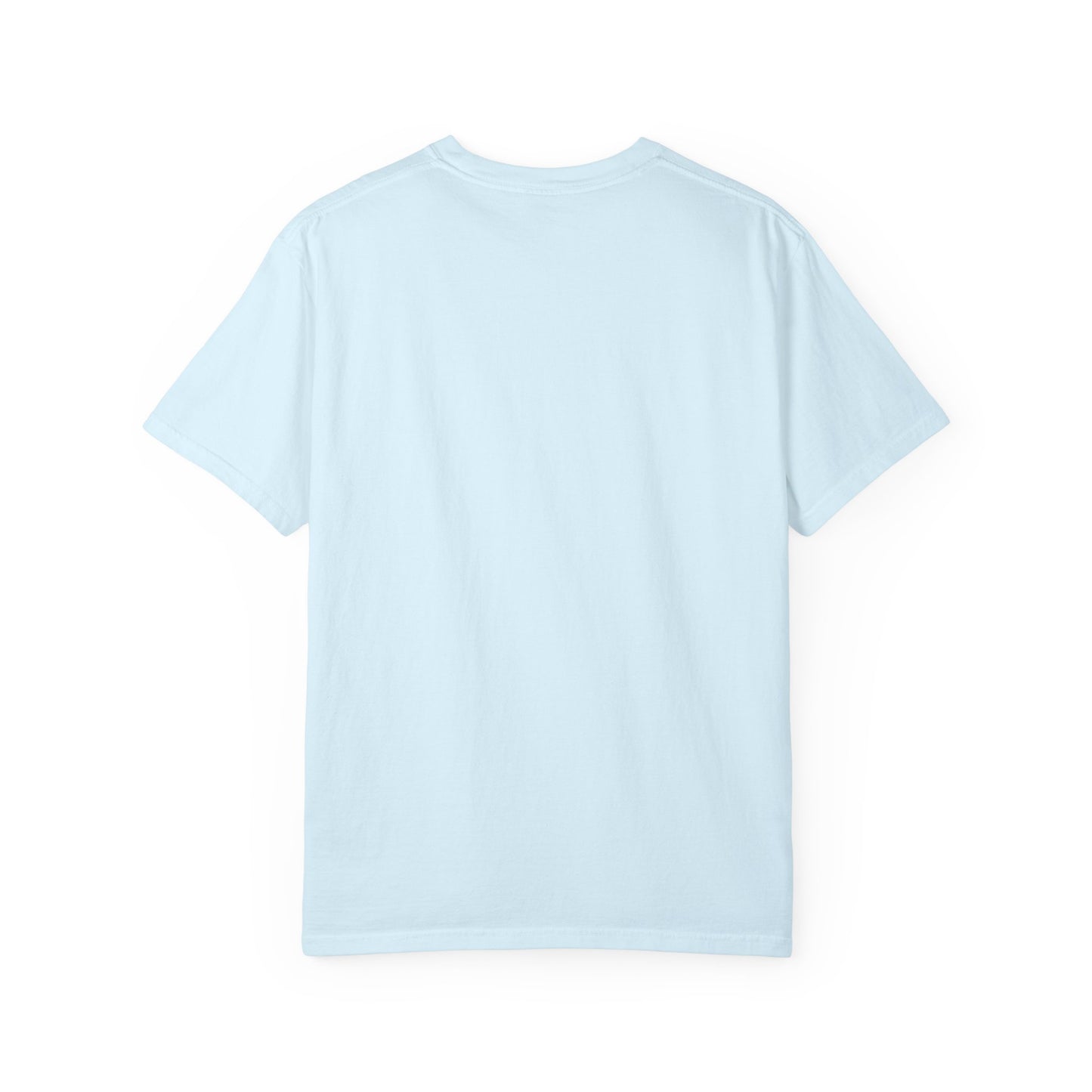 One Day or Day One Comfort Colors® T-Shirt | Motivational Graphic Tee | Inspirational Shirt | Unisex Premium Cotton Tee