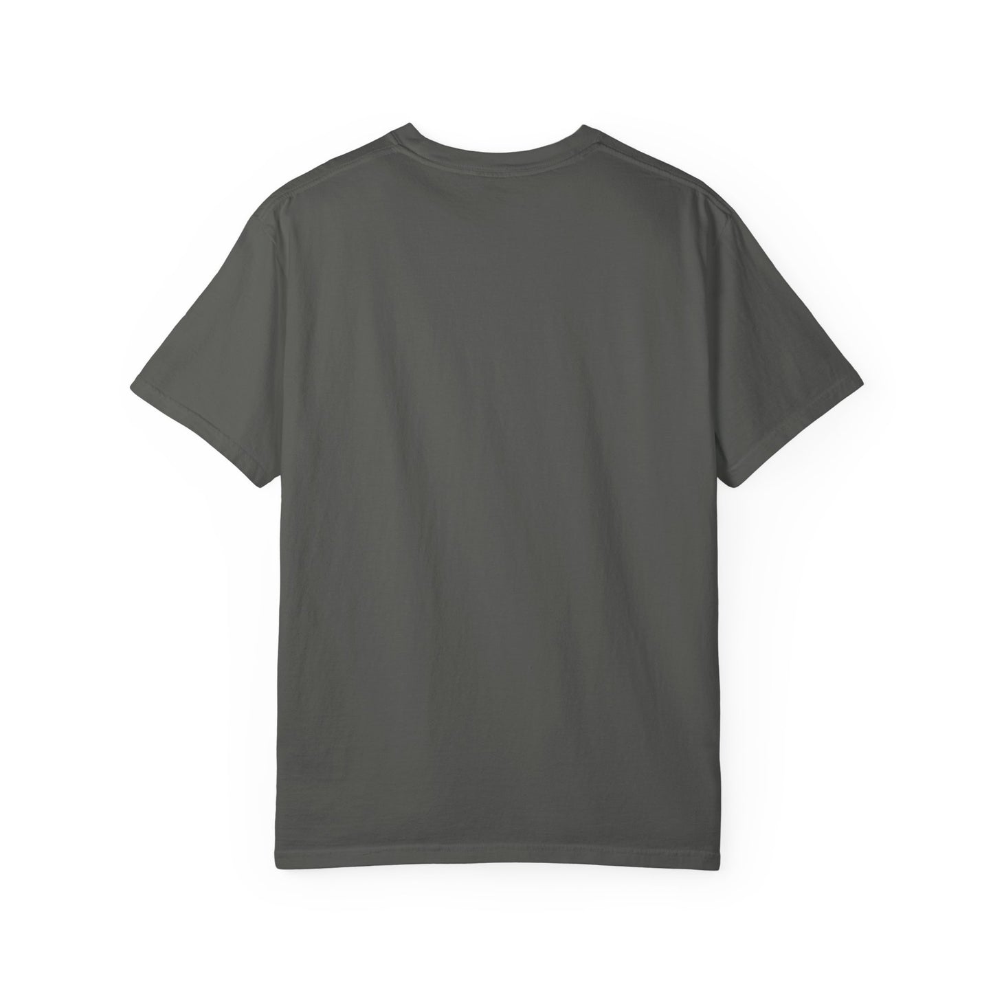 One Day or Day One Comfort Colors® T-Shirt | Motivational Graphic Tee | Inspirational Shirt | Unisex Premium Cotton Tee