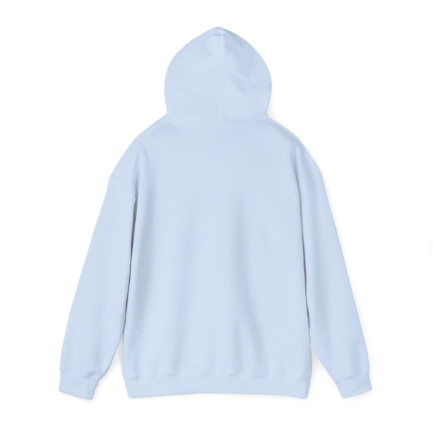 One Day or Day One Motivational Hoodie | Inspirational Unisex Pullover Sweatshirt | Gildan 18500