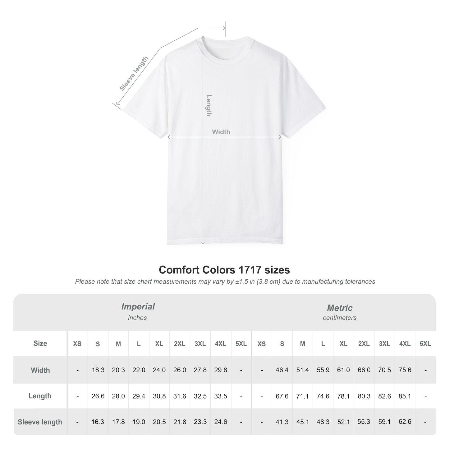 One Day or Day One Comfort Colors® T-Shirt | Motivational Graphic Tee | Inspirational Shirt | Unisex Premium Cotton Tee
