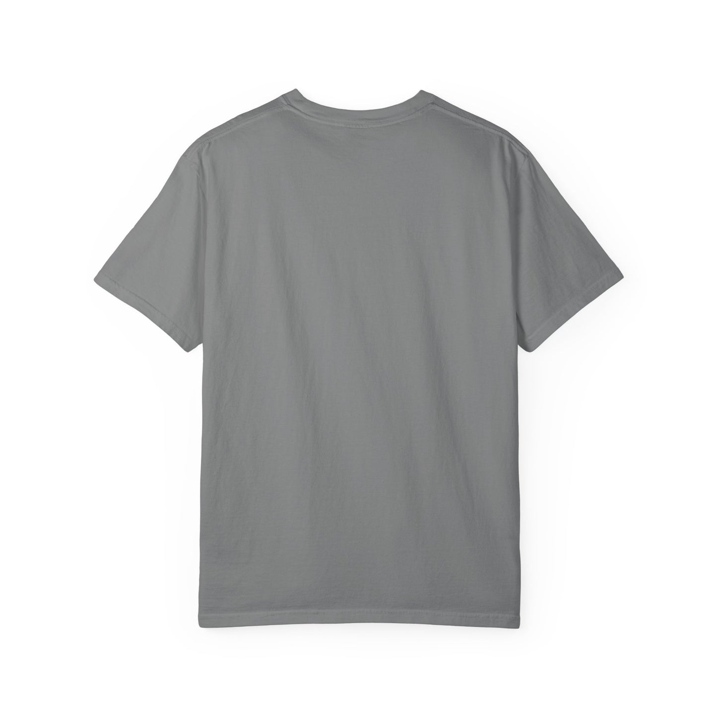 One Day or Day One Comfort Colors® T-Shirt | Motivational Graphic Tee | Inspirational Shirt | Unisex Premium Cotton Tee