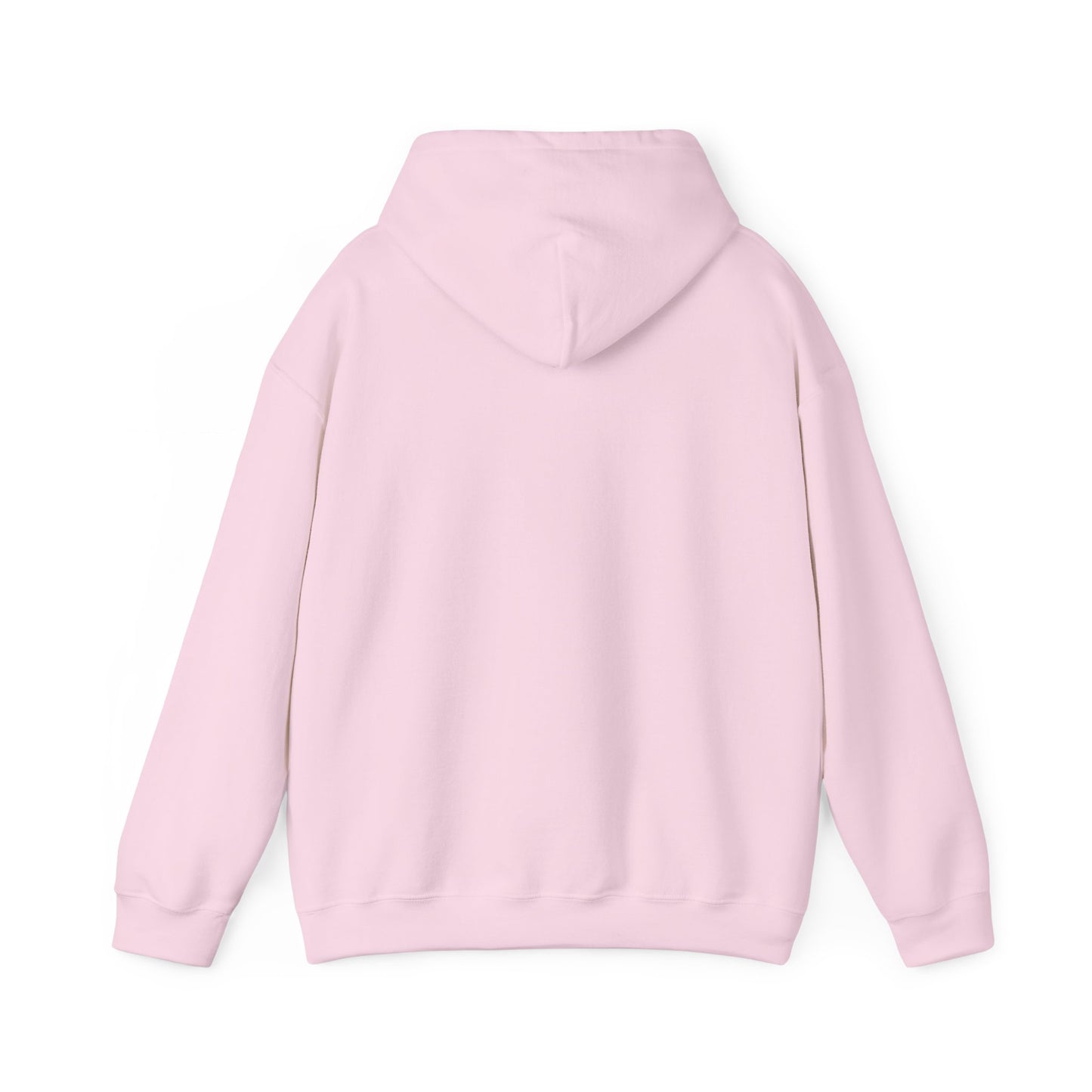 One Day or Day One Motivational Hoodie | Inspirational Unisex Pullover Sweatshirt | Gildan 18500