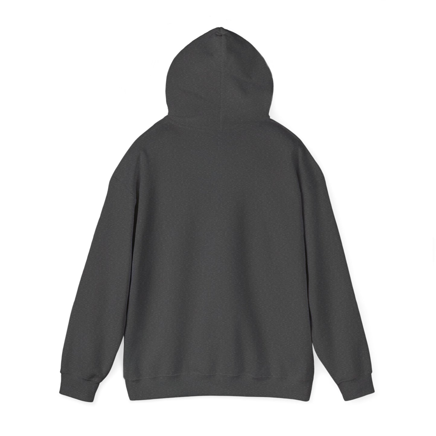 One Day or Day One Motivational Hoodie | Inspirational Unisex Pullover Sweatshirt | Gildan 18500