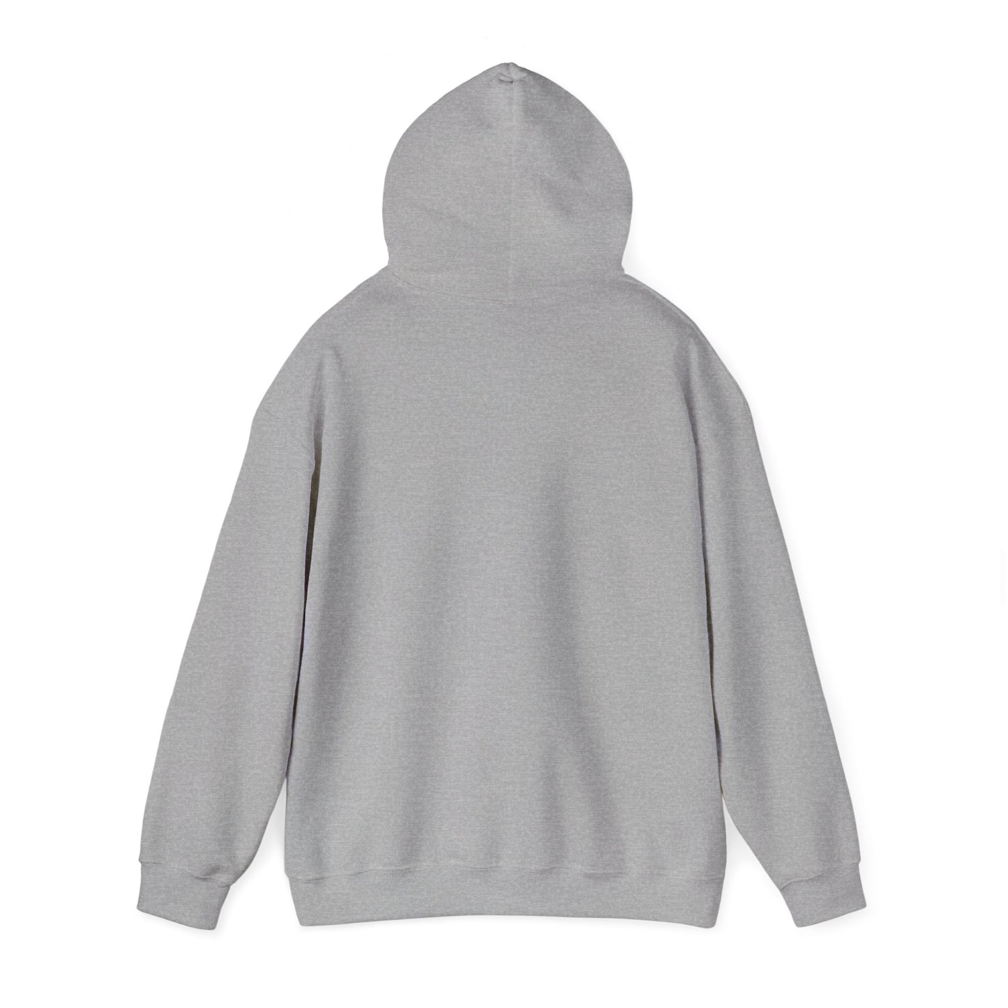 One Day or Day One Motivational Hoodie | Inspirational Unisex Pullover Sweatshirt | Gildan 18500