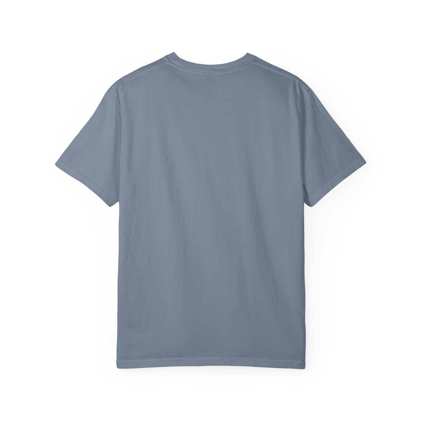 One Day or Day One Comfort Colors® T-Shirt | Motivational Graphic Tee | Inspirational Shirt | Unisex Premium Cotton Tee